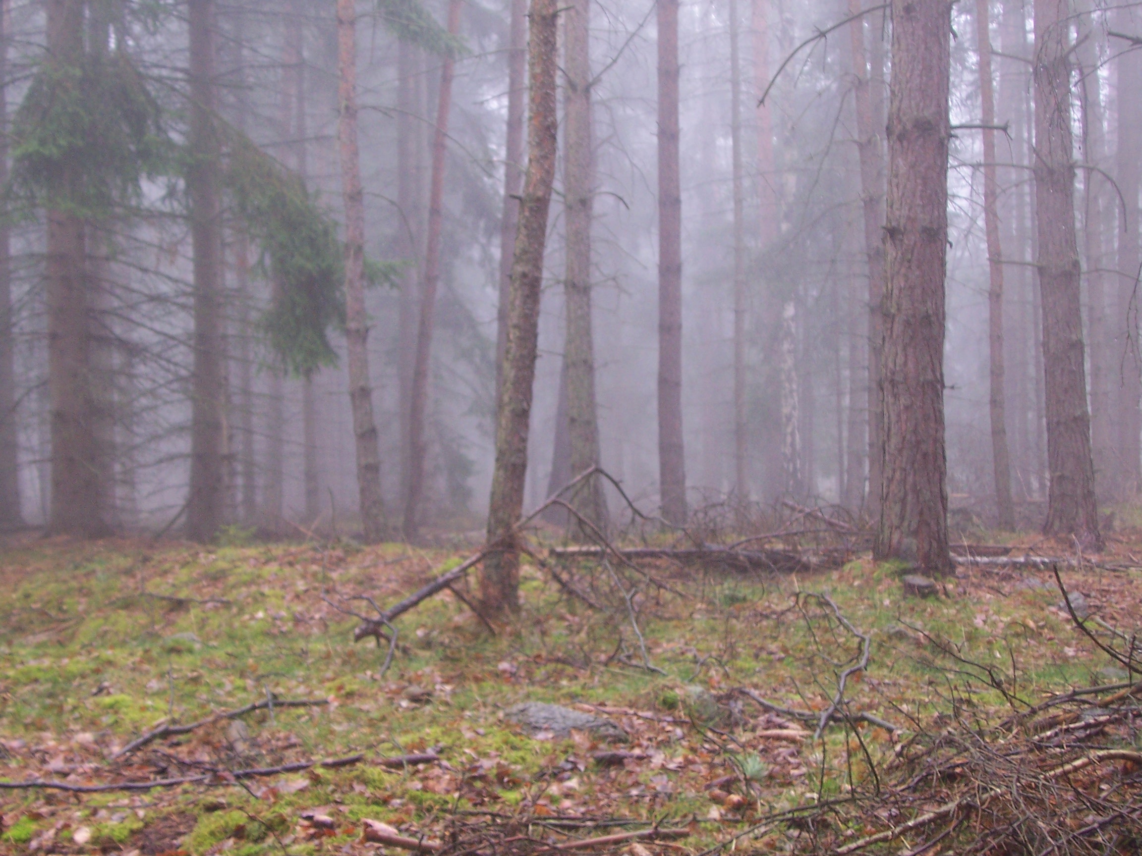 Lubenec08 040.jpg