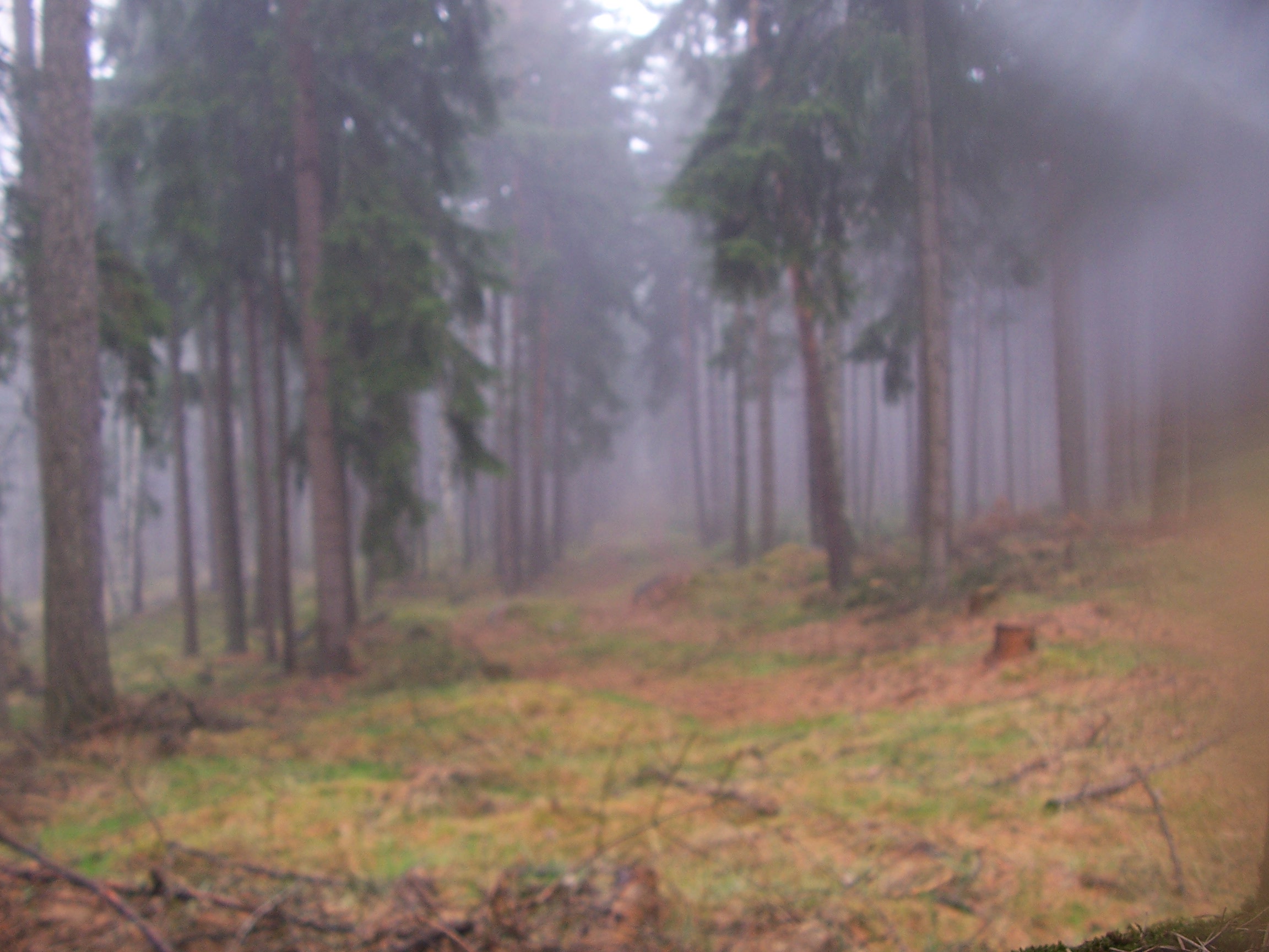 Lubenec08 062.jpg