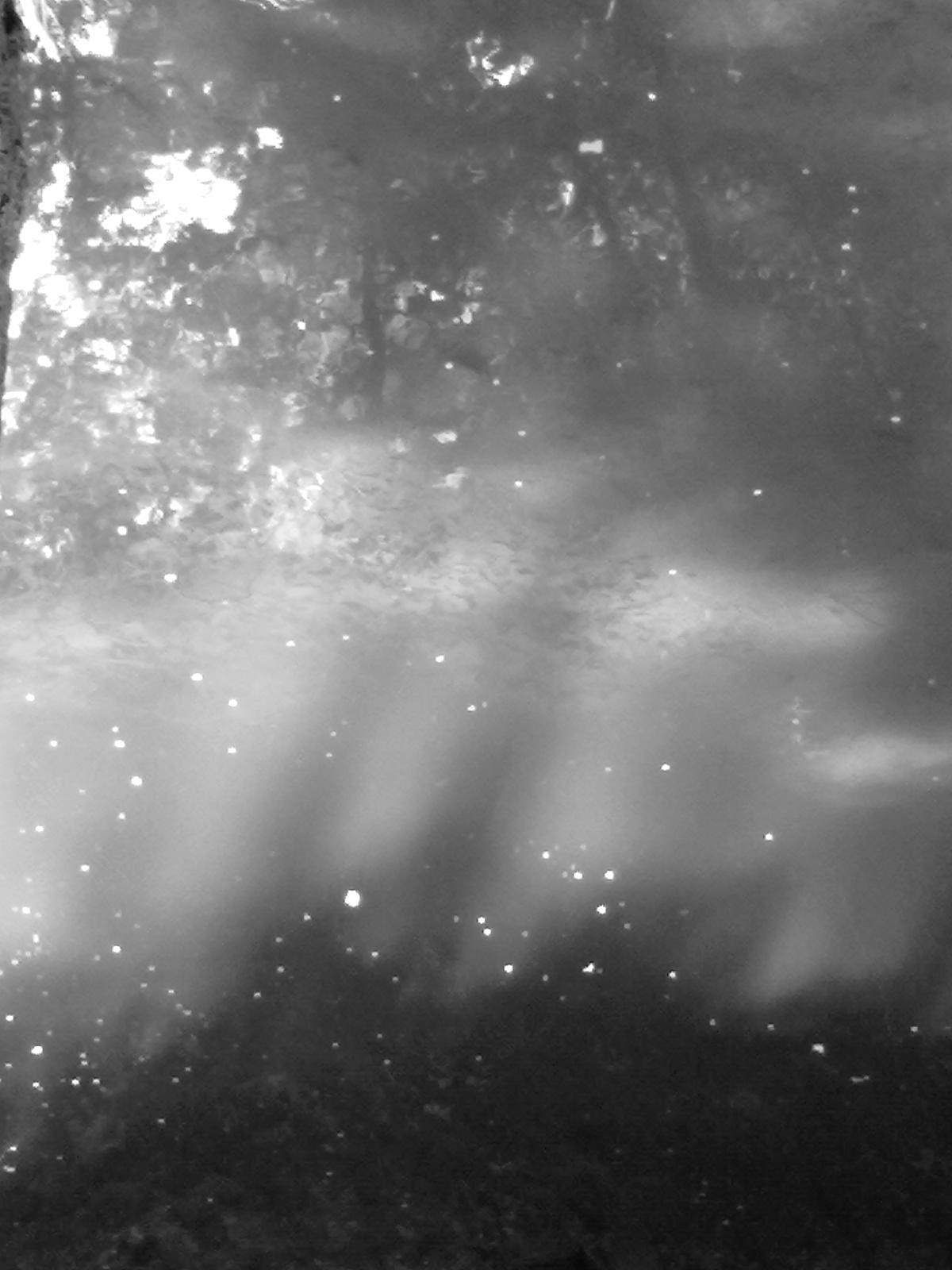 02072011459