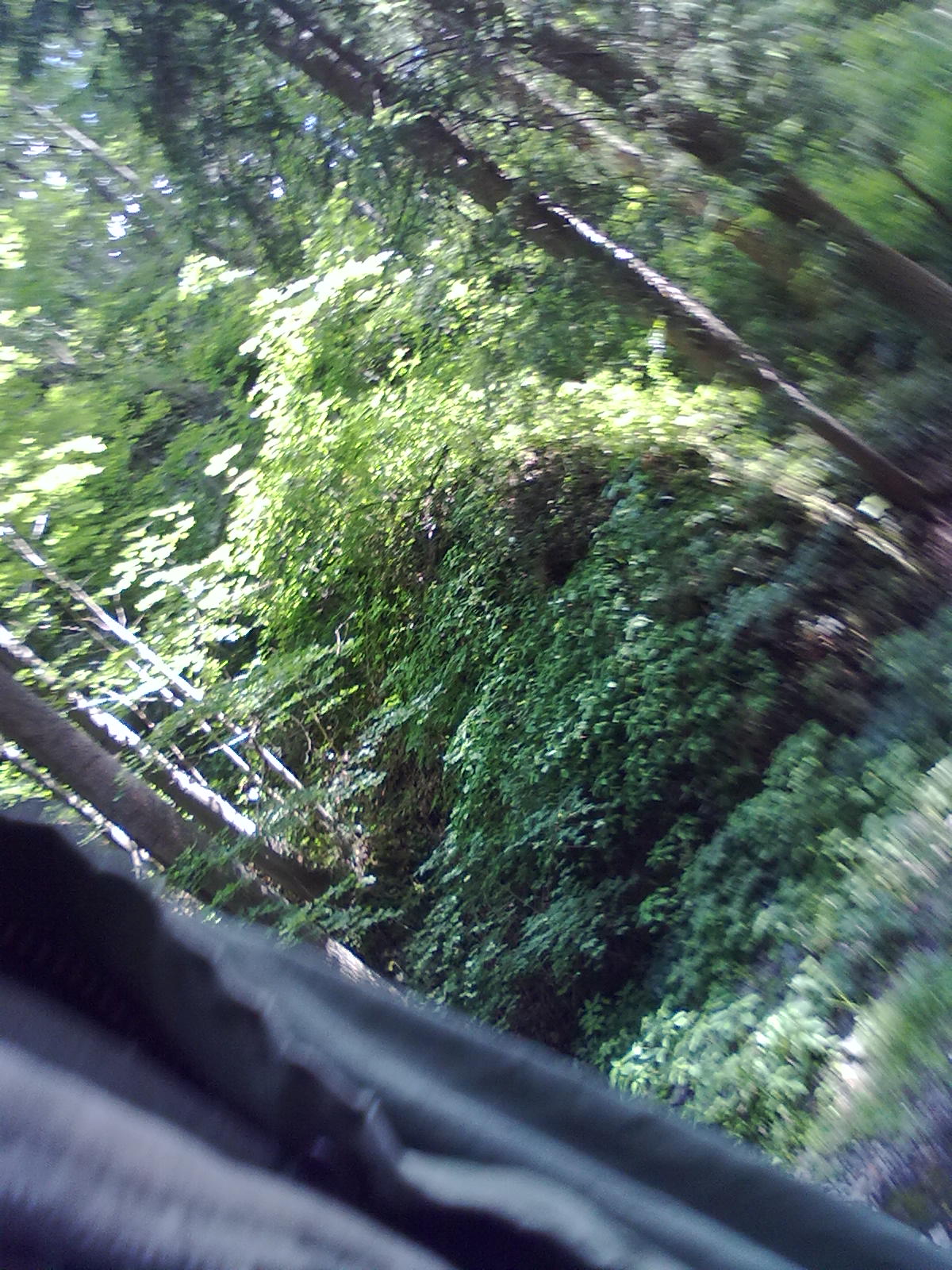 02072011460