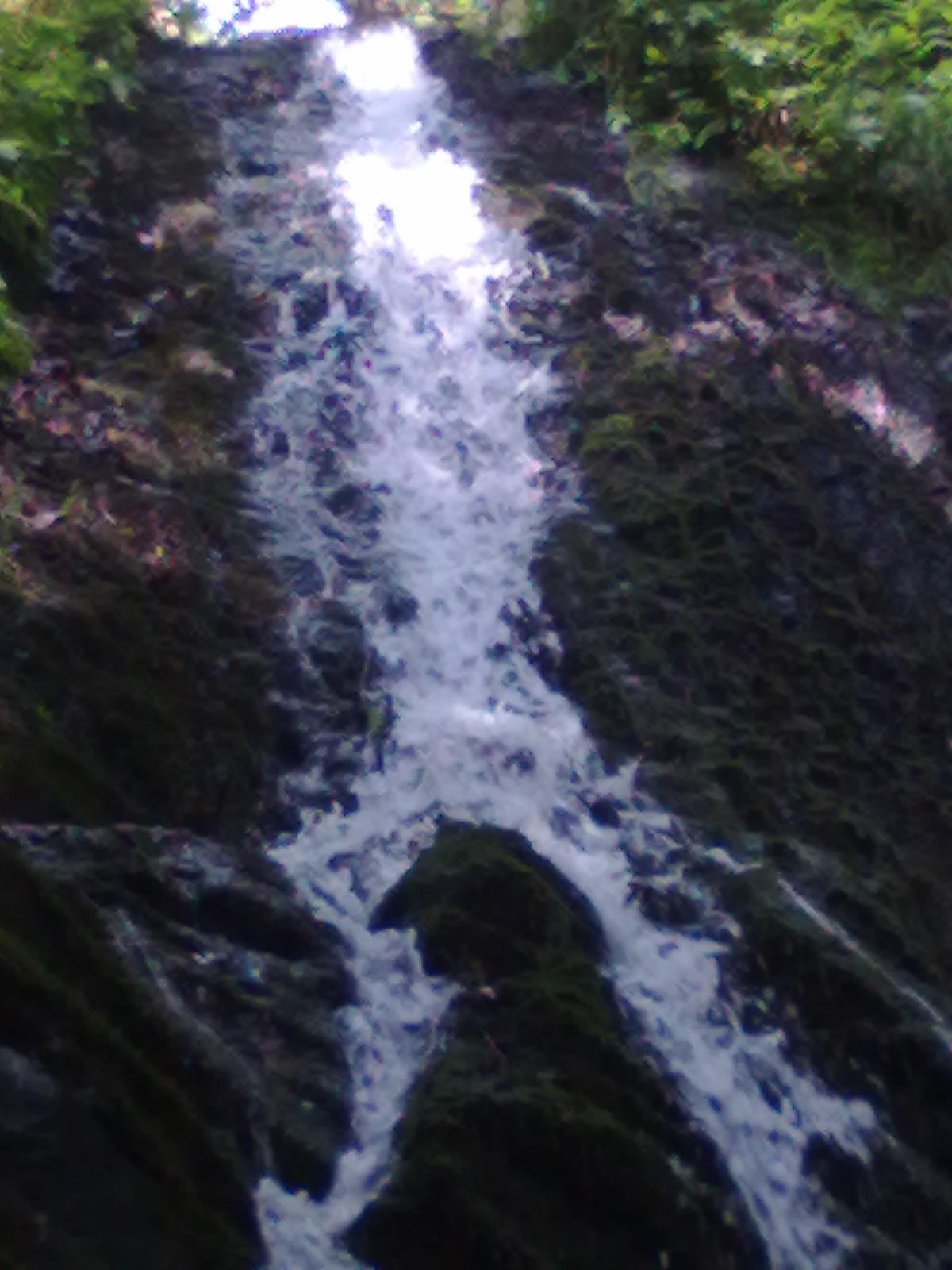 02072011470