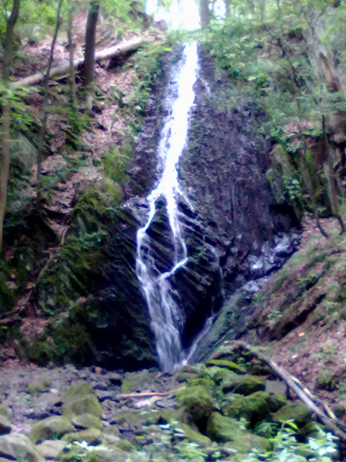 02072011472