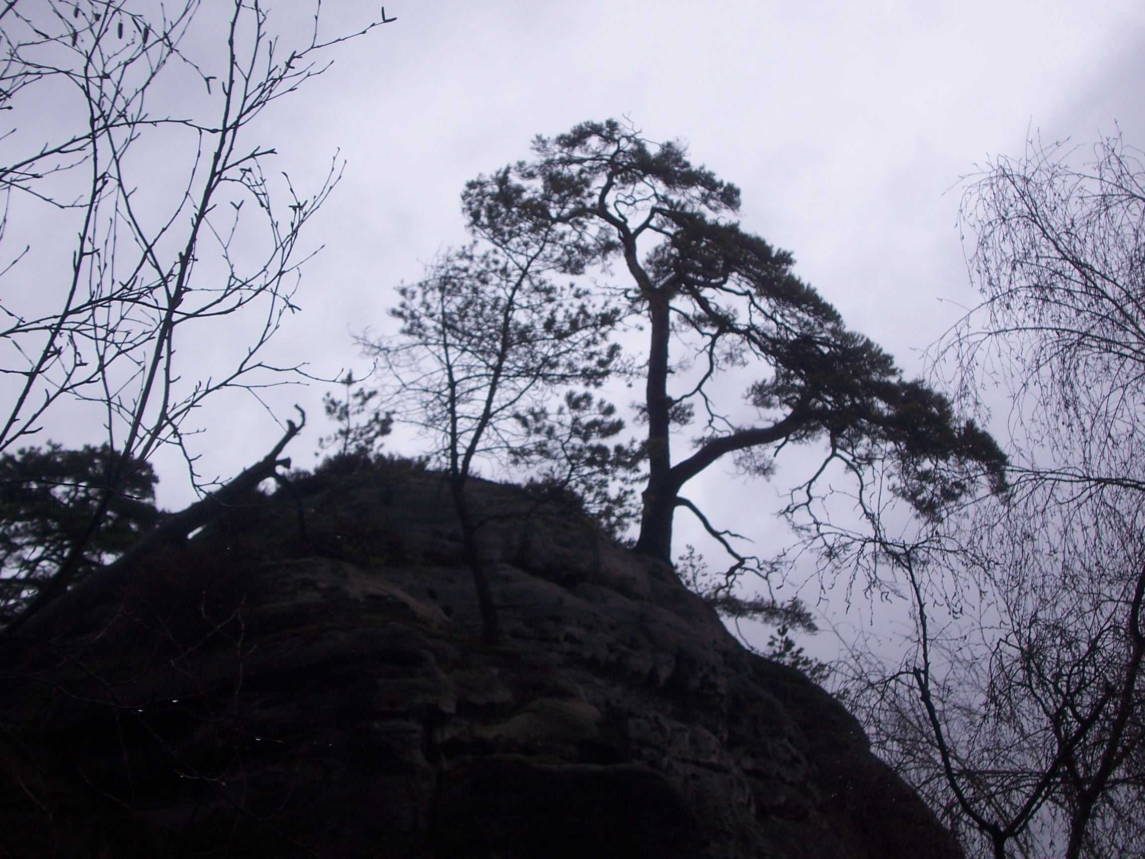 Image00005.JPG