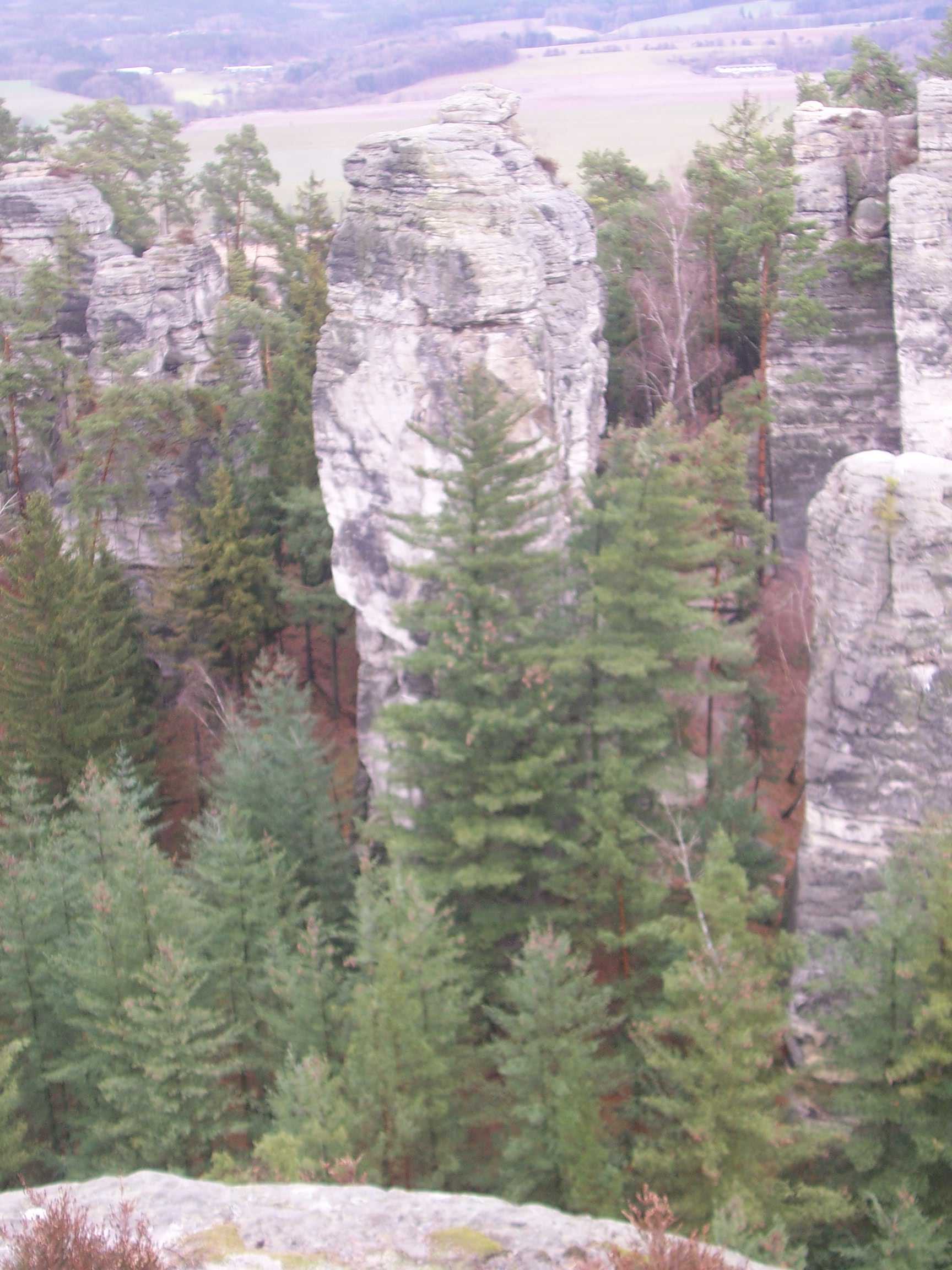 Image00006.JPG