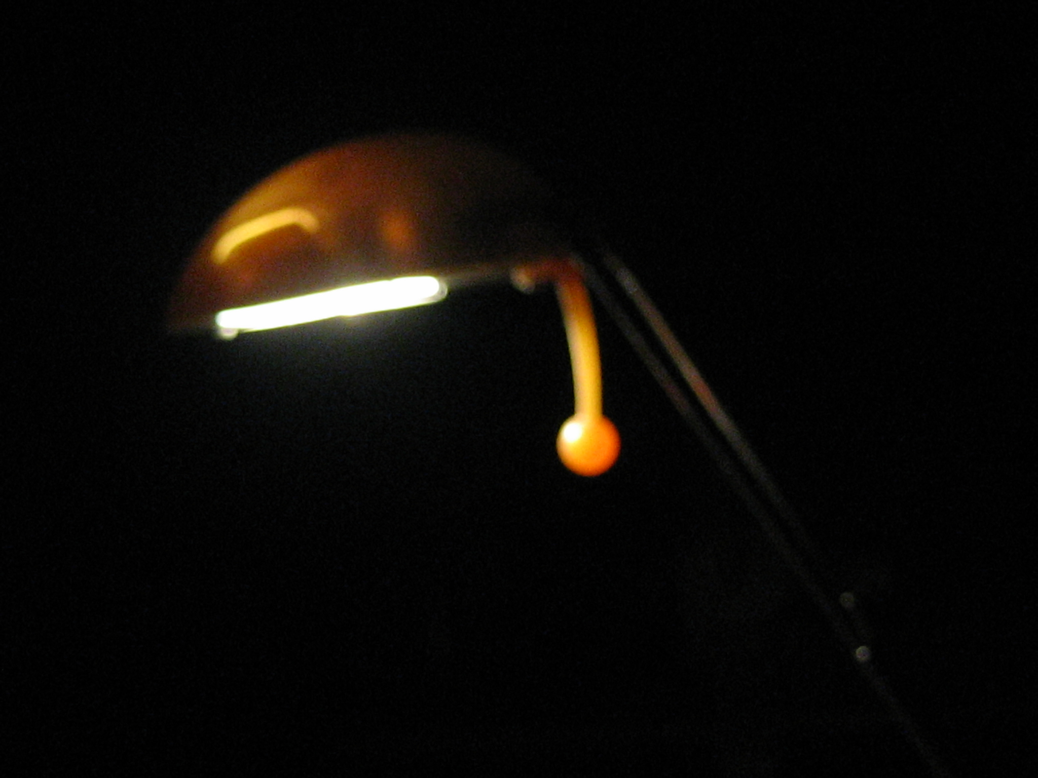 IMG_7629_2.JPG