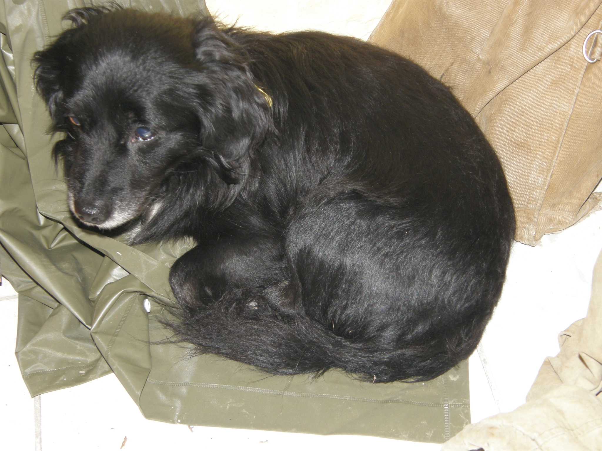 Image00004.JPG