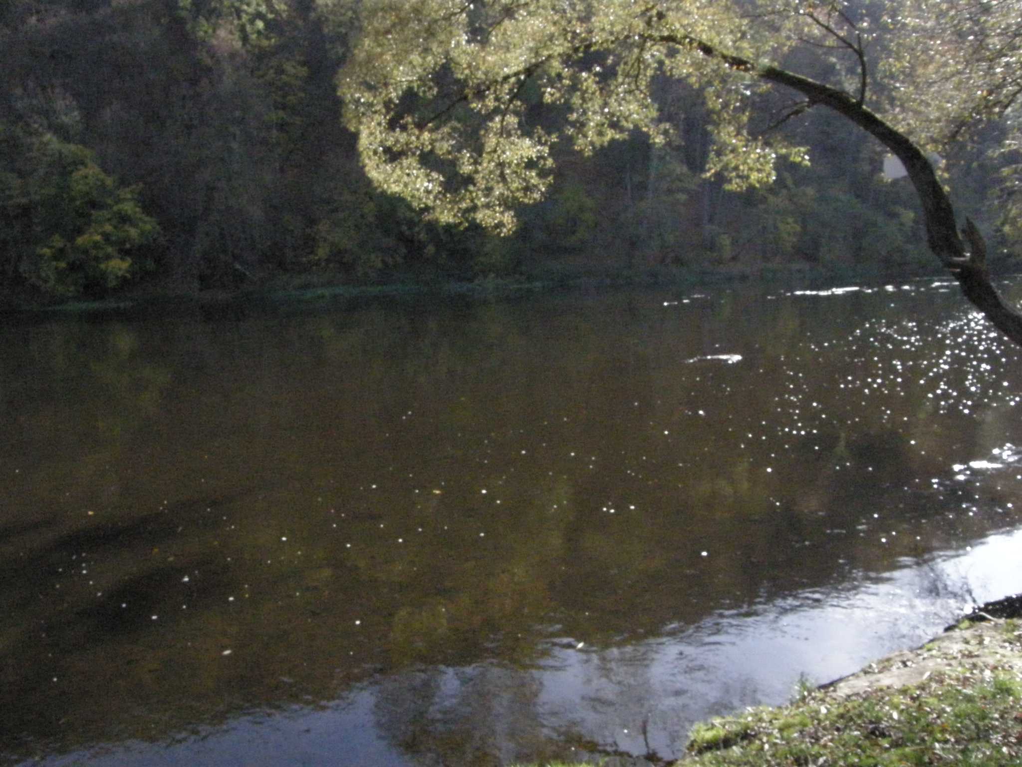 Image00022.JPG