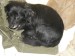 Image00004.JPG
